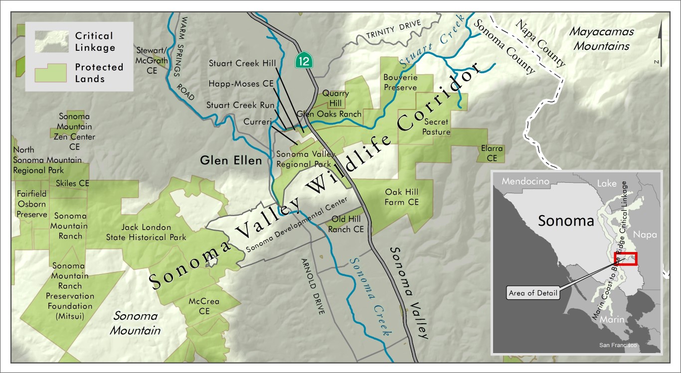 Sonoma Valley Wildlife Corridor with elevation data from the Sonoma County Veg Map project and linkage information from the Bay Area Critical Linkages. Joseph Kinyon, Sonoma Land Trust